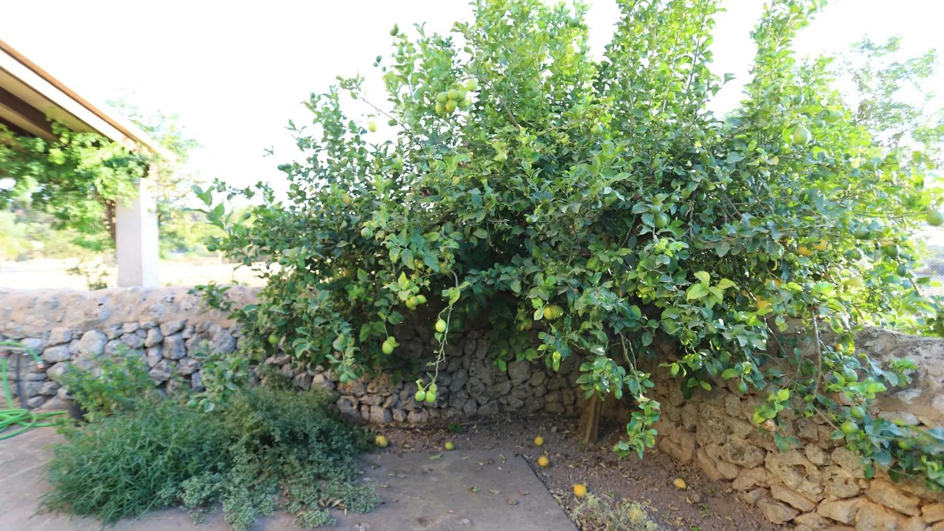 הוילה לורט דה ויסטאלגרה Ca'S Xibal-Li